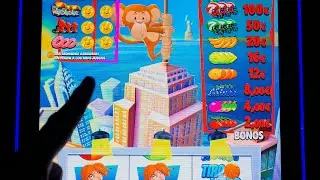 KONGCHITA EN MANHATTAN 🟡 LLENAR TODAS LAS MONEDAS 🟡 -300&euro;