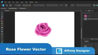Creating Stunning Rose Flower Vector Art with Affinity Designer