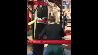 For all Boxers