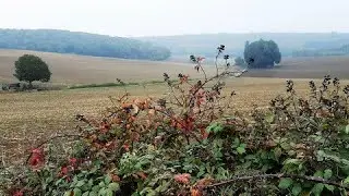 EIFEL - de 