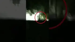 Bareilly Cantt Haunted Video Near Hill Track Road #bareillycitynews #bareilly #bareillynews