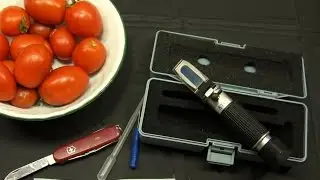 Check Your Growing Plants, Fruits, and Vegetables With a Handheld Degrees Brix Refractometer.
