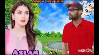 Aslam dil Jaani singer 🎵Gujari video new song Koi Buta Laya Hadi Meri Jindagi Mane sari studio