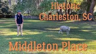 Middleton Place in Historic Charleston, South Carolina