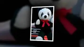 GreenScreenUSA.com BRANDED INSTANT PHOTOS & PRINTS