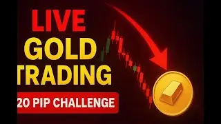 LIVE Gold  & BTC Trading | 20 Pip Challenge | XAUUSD Scalping & Strategy Explained