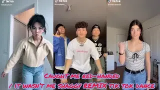 🔥Caught me red-handed / it wasn’t me shaggy REMIX🔥TikTok Dance