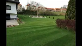 New lawn project - seeding grass