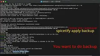 How to Download and Install Spicetify on macOS (Step-by-Step Guide)