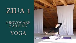 🧘&zwj;♀️ Ziua 1 &ndash; Yoga pentru G&acirc;t și Umeri | 7 Zile de Yoga pentru &Icirc;ncepători