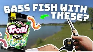 WE TRIED FISHING WITH GUMMY WORMS!?! Does it work?