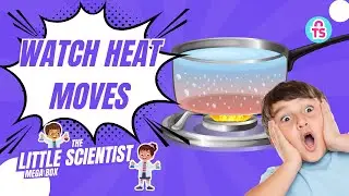 12 Watch Heat Moves Experiment | The Little Scientist Mega Box | ToySavvy