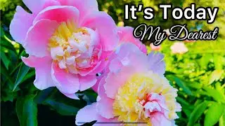Slow Living || Romanticize Your Day with Poetry -  Nature Walk in a Peony Garden || Silent Vlog