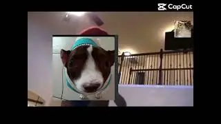 Don&rsquo;t throw the tv