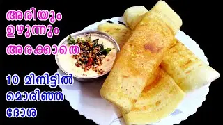 അരിയും ഉഴുന്നും അരയ്ക്കാതെ | Breakfast Dosa Recipe | Dosa Chutney Recipe | Lekshmi's Magic