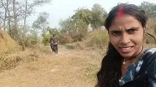 हम जा रहे हैं घास लाने प्रेम के बोल 46 में आप सभी का स्वागत है देखिए वीडियो