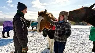 Meet Lauren & her HORSES! #880