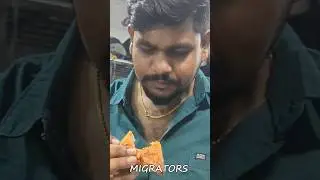 என்னடா இப்படி பண்ணிவச்சிருகீங்க🤬🤦 #shorts  #migrators #kovai #covai #michigan #travel #train #viral