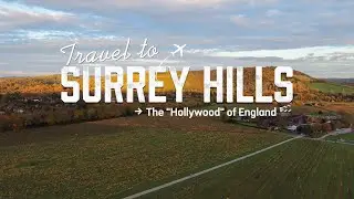 GOLDEN AUTUMN: A Day in Surrey Hills, UK 🍁✨