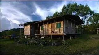 Papua New Guinea 