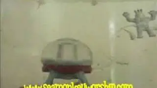 Sea Monkeys Swimming