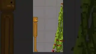 Melon Playground