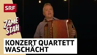 Konzert Quartett Waschächt | Zäme stah | SRF