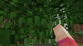 7-Year Old Autistic Child Plays Minecraft for the First Time?