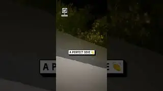 POV: you see a shiny coin in a bush 🌳🪙😂                   🎥: CONTENTbible