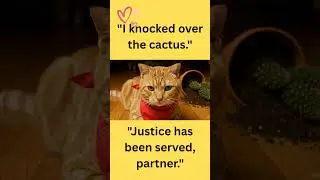 How Cats Feel When You Leave for Work 😾💔 #CatThoughts