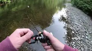 Bait Finesse Trout Fishing - Losing a Good Fish is Never Fun