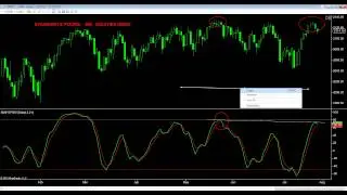 SMI Index E-Mini Professional Education