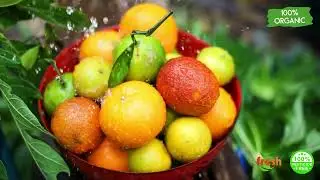 🌾Soulful Caterers &ndash; We Support Our Local Farmers | जय जोहार जय किसान 🌾