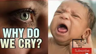 Why do we cry? | How tears are produced? | Tamil | Spill the Deets