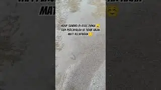 Hidup sendiri di atas dunia #shortvideo #trending #fypシ゚viral