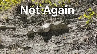 Insane Fossil hunt On Vancouver Island 