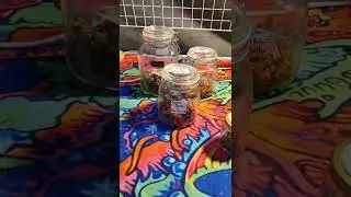 Cannabis Celebrations Khaosan Road Bangkok