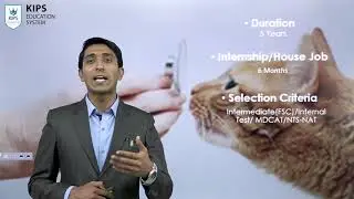 KIPS Educational Updates | What is DVM? | Scope of DVM in Pakistan