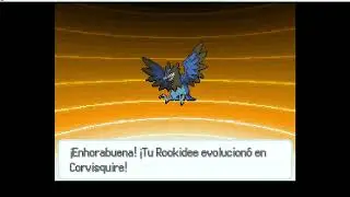 HAY QUE SALTARSE LAS REGLAS POR LA MEGAEVOLUCION - POKEMON CONSONANCIA EPISODIO 13