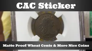 CAC Sticker Open Box - Matte Proof Wheat Cents & More Nice Coins