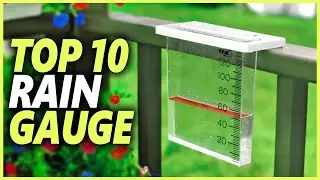 Best Rain Gauge On The Market | Top 10 Most Accurate Wireless Rain Gauges For Gardeners