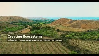 Faros Estate | Sigri Olive Mill