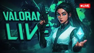 Which game should I play next | Free Steam Gift Card Giveaway | #horror #pacify #live #valorant