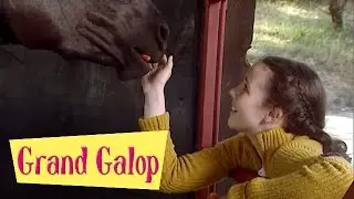 Grand Galop 221 - Un pensionnaire remuant (Partie 3) | HD | Épisode Complet