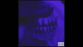 VAMP MONEY AKA SPACEGHOSTPURRP   305 STAY LIVE SLOWED