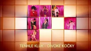 Tenhle kluk - Divok&eacute; kočky