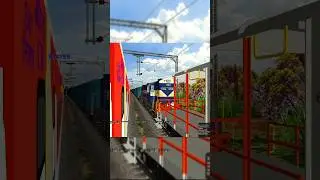 WDG-4G + WDM-3D In Python Freight Train crossing In ##msts #openrails #trainsimulator #trainshort