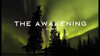 The Awakening | Macbite