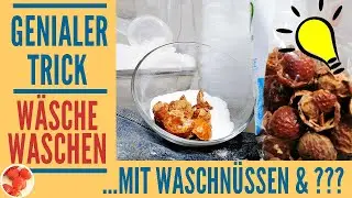 Genialer Trick: Nachhaltig W&auml;sche waschen mit Waschn&uuml;ssen & diesem Hausmittel in der Waschmaschine