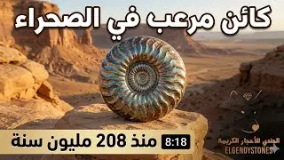 اكتشف كائن الامونيت المرعب مع الجندي للاحجار والاستكشاف